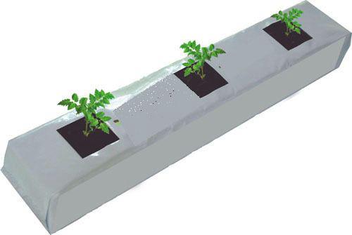 Coco peat grow bag with plants
